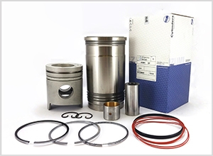 Ekisho Auto Parts-Cylinder Liner Kit-f