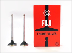 Ekisho Auto Parts-Engine Valve-f